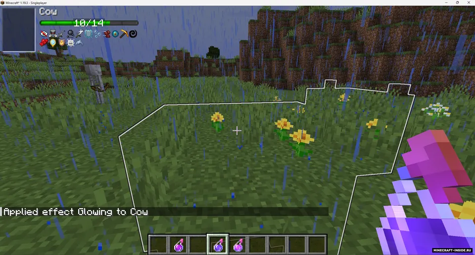 TslatEntityStatus (TES) — Minecraft mod, rasm 6