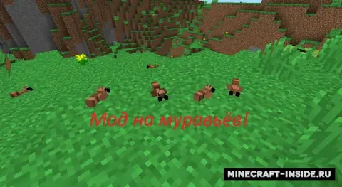 Ants Mod