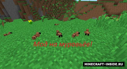 Ants Mod — Minecraft mod, rasm 1