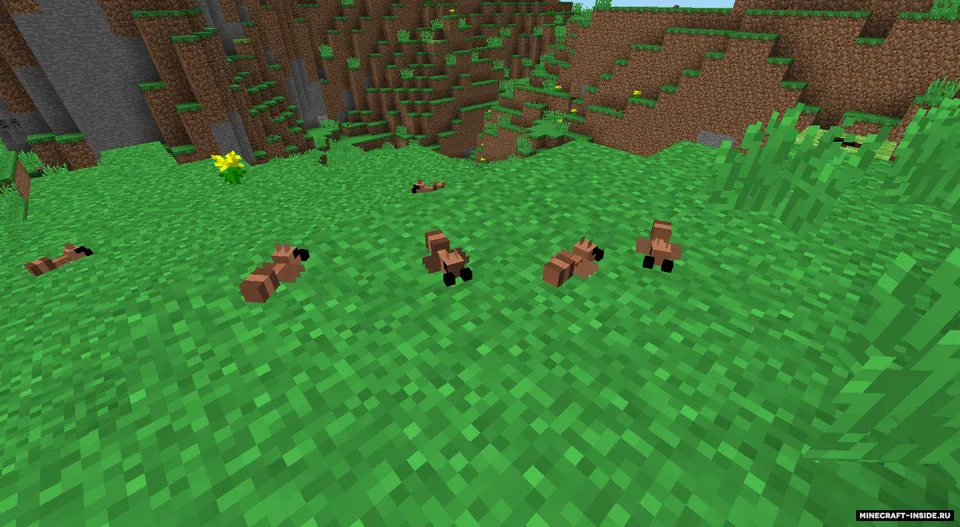 Ants Mod — Minecraft mod, rasm 2