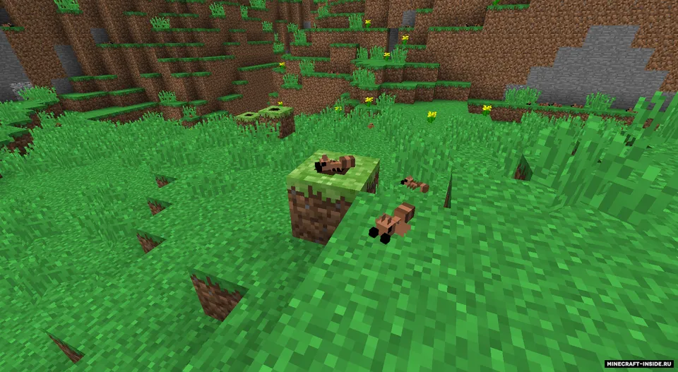 Ants Mod — Minecraft mod, rasm 3