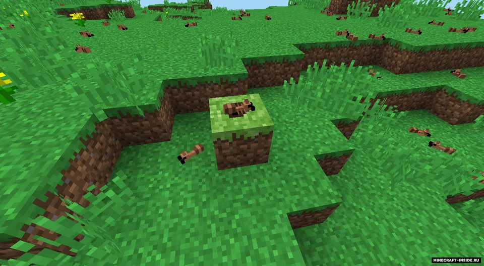 Ants Mod — Minecraft mod, rasm 5