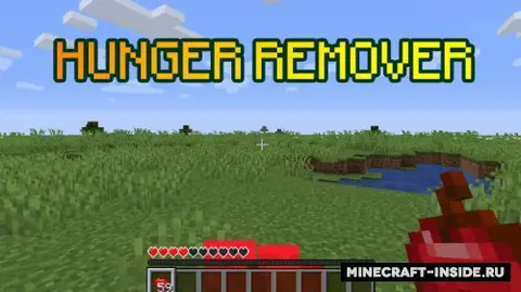 Hunger Remover