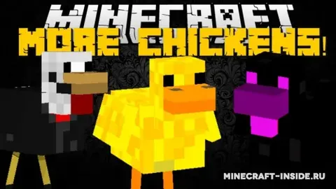 More Chickens