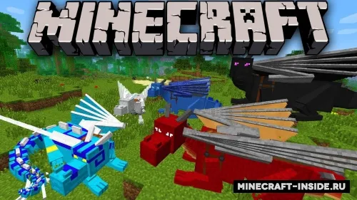 Dragon Mounts 2 — Minecraft mod, rasm 1
