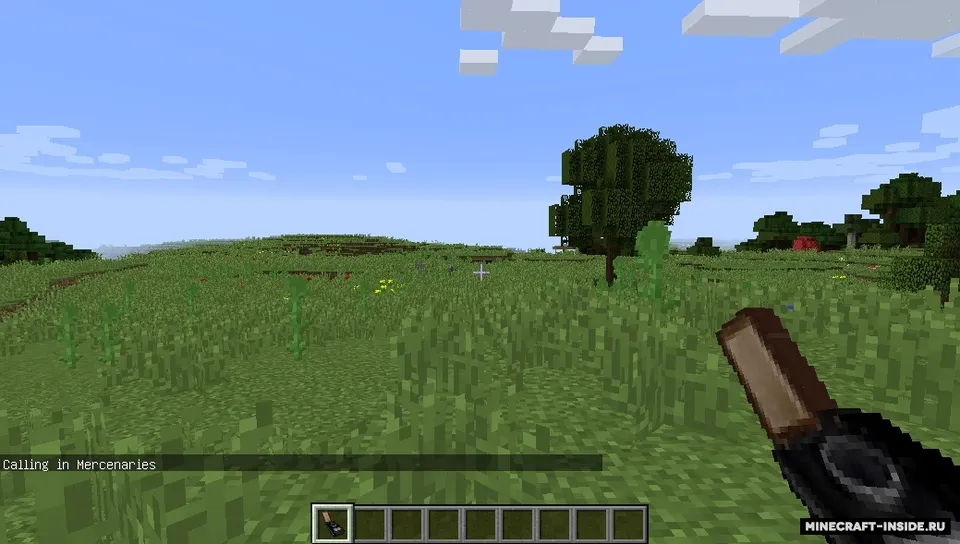 Raiders — Minecraft mod, rasm 2