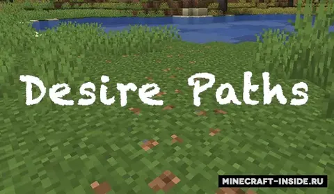 Desire Paths