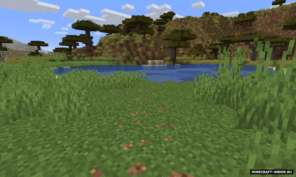 Desire Paths — Minecraft mod, rasm 2