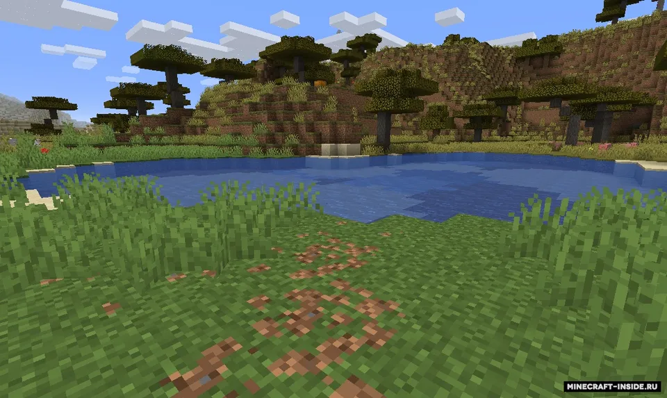 Desire Paths — Minecraft mod, rasm 3
