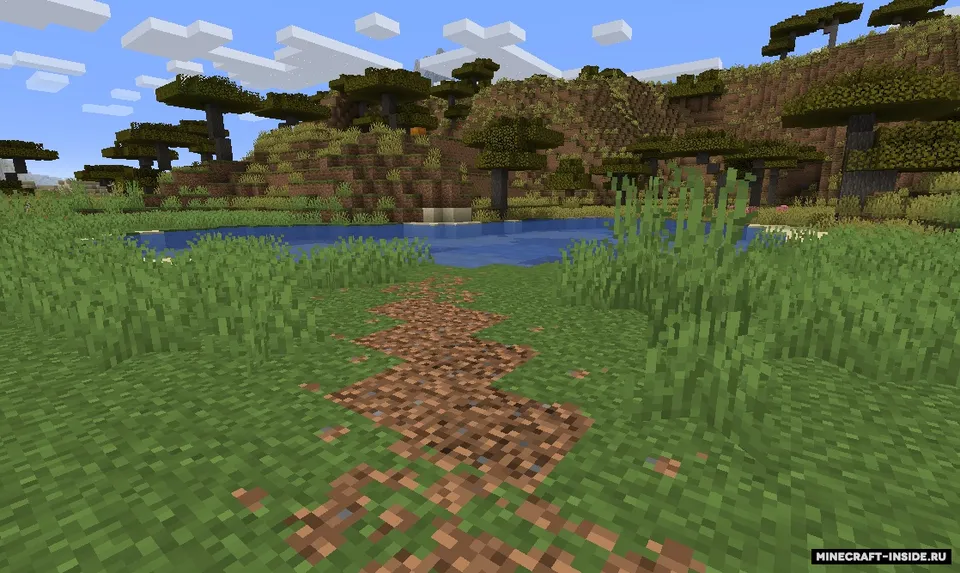 Desire Paths — Minecraft mod, rasm 4