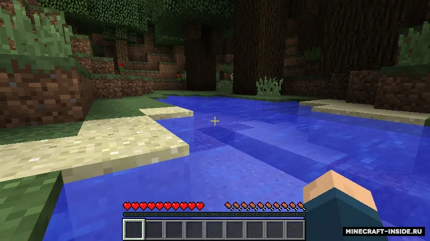 Wet — Minecraft mod, rasm 2