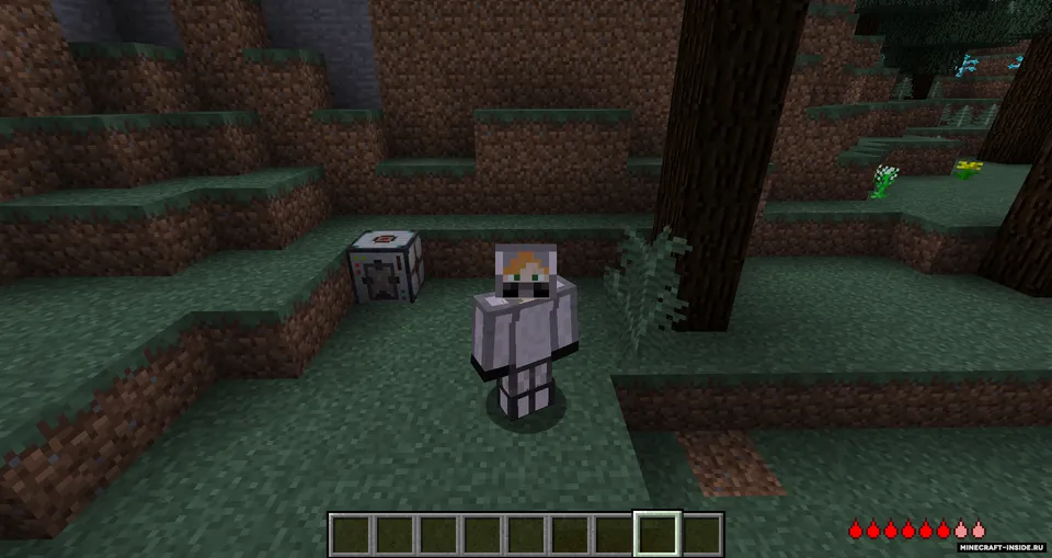 Bionisation 3 — Minecraft mod, rasm 5