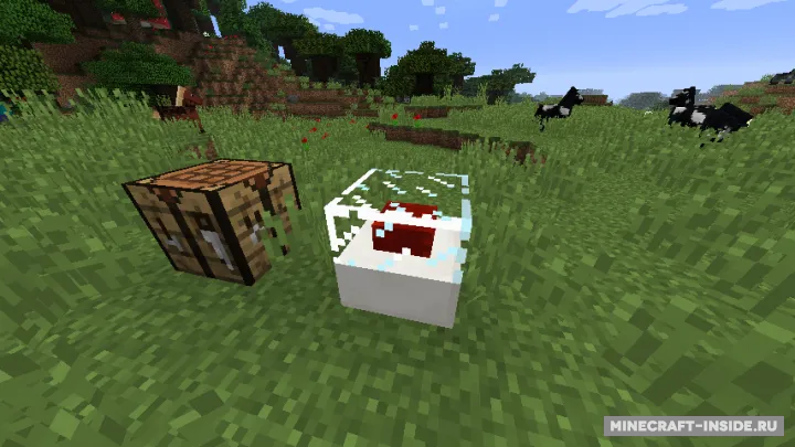 Vanilla-InspiredTeleporters — Minecraft mod, rasm 2
