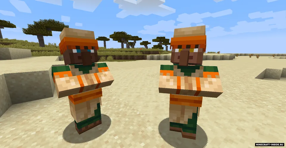 NPC Variety — Minecraft mod, rasm 3
