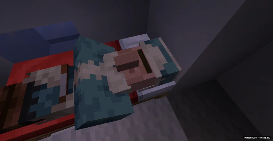 NPC Variety — Minecraft mod, rasm 5