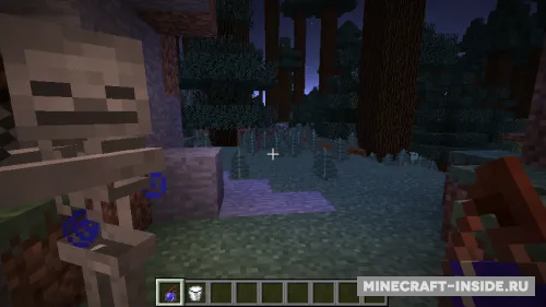 CleanView — Minecraft mod, rasm 1