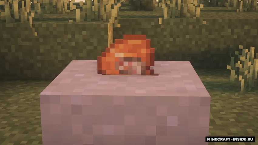 Spare No Items — Minecraft mod, rasm 2