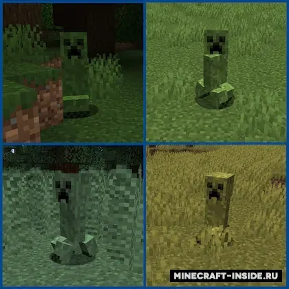 Creeper Habitats