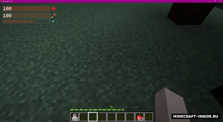 BetterHUD — Minecraft mod, rasm 2
