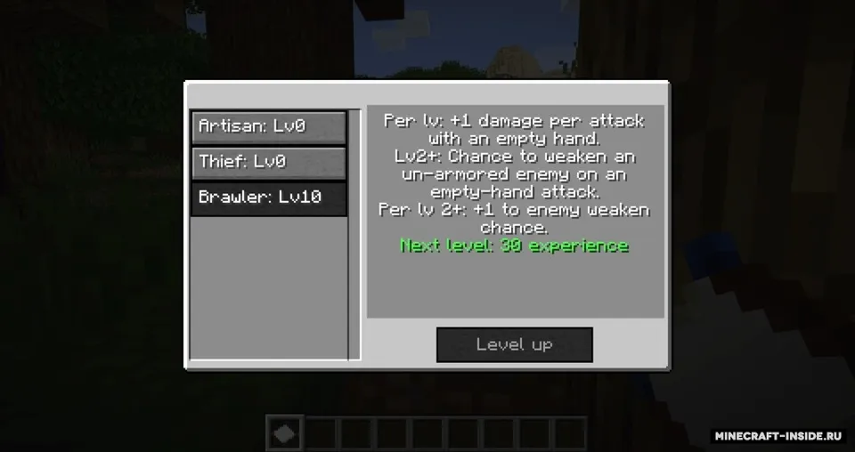 SkillCheck — Minecraft mod, rasm 1