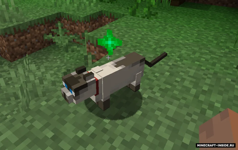 Pet 'Em — Minecraft mod, rasm 3
