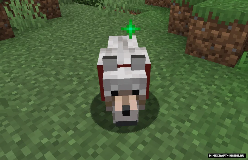 Pet 'Em — Minecraft mod, rasm 4
