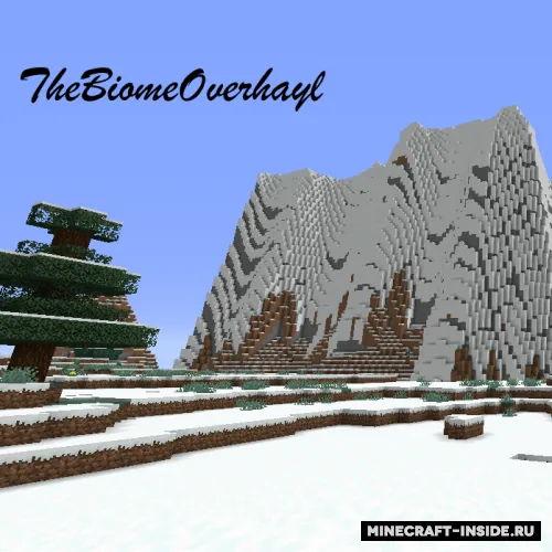 The Biome Overhaul — Minecraft mod, rasm 1