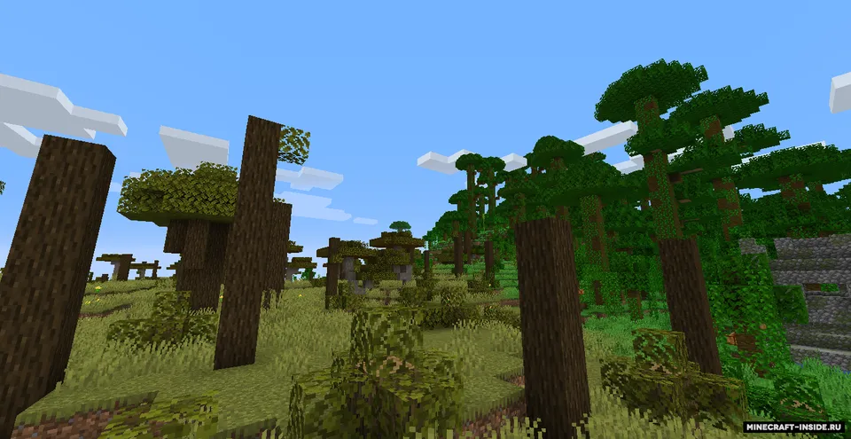 The Biome Overhaul — Minecraft mod, rasm 6