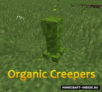 Organic Creepers