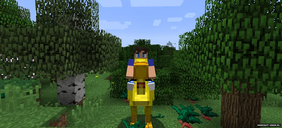 ChocoCraft 3 — Minecraft mod, rasm 1