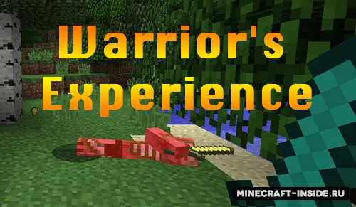 Warrior's Experience — Minecraft mod, rasm 1