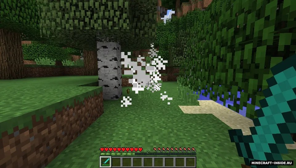 Warrior's Experience — Minecraft mod, rasm 3