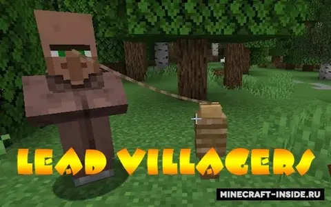 Lead Villagers
