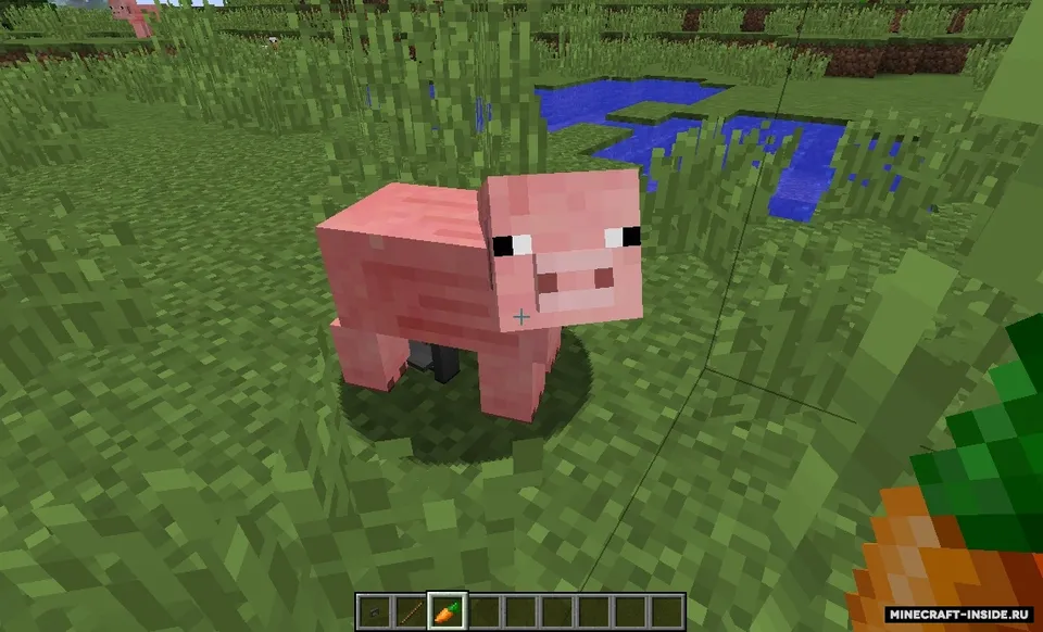 Bear Trap — Minecraft mod, rasm 4