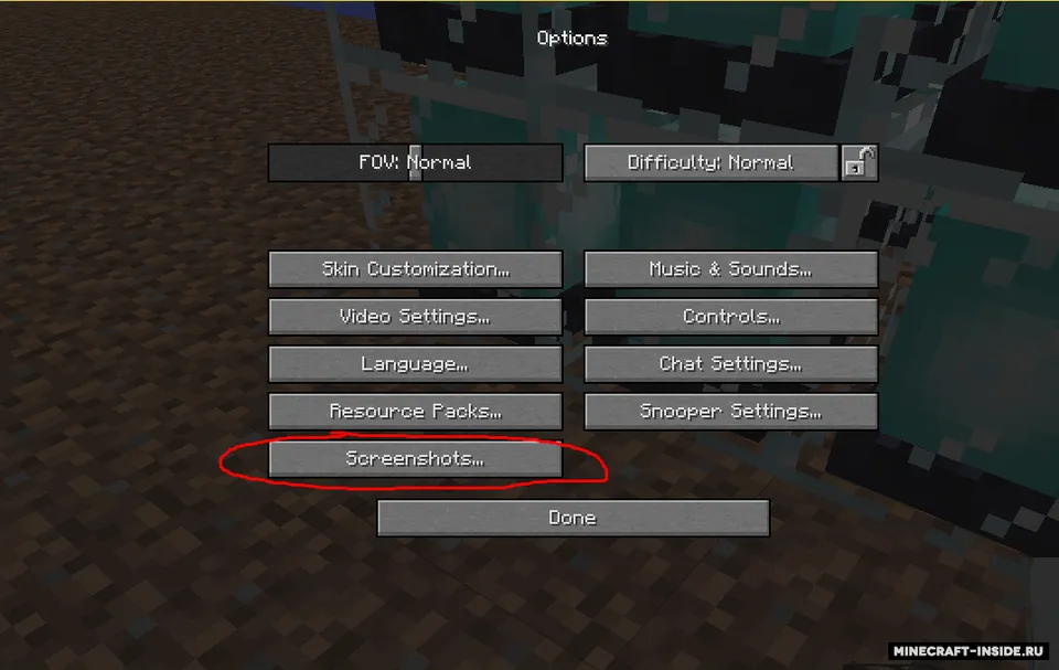 Screenshot Browser — Minecraft mod, rasm 2