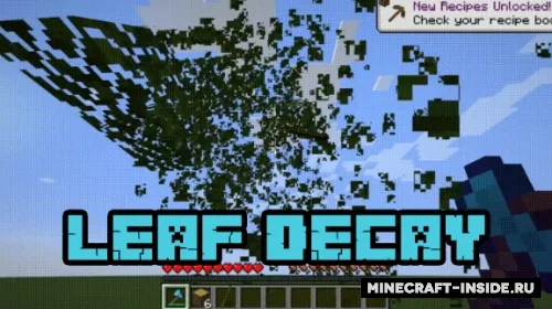 Leaf Decay — Minecraft mod, rasm 1