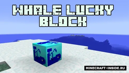 Whale Lucky Block — Minecraft mod, rasm 1