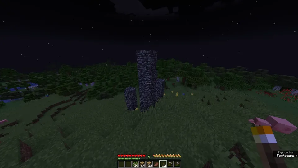 The Forgotten — Minecraft mod, rasm 2