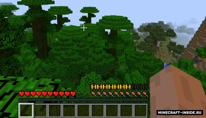 StaminaPlus — Minecraft mod, rasm 2