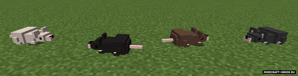 Historicized Medicine — Minecraft mod, rasm 3