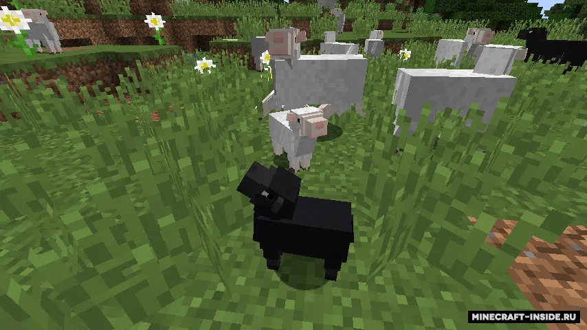 Fauna and Ecology — Minecraft mod, rasm 2