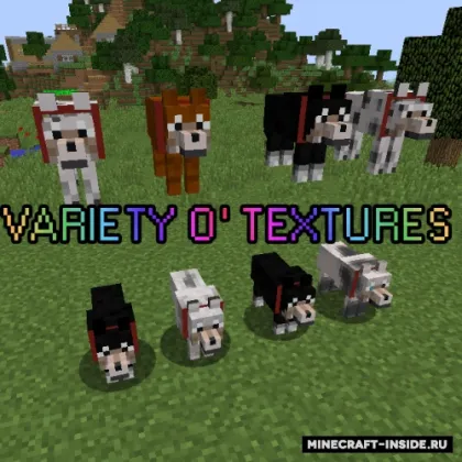 Variety O' Textures — Minecraft mod, rasm 1