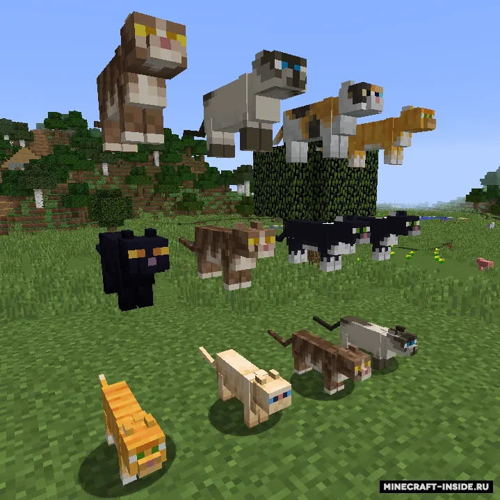 Variety O' Textures — Minecraft mod, rasm 2