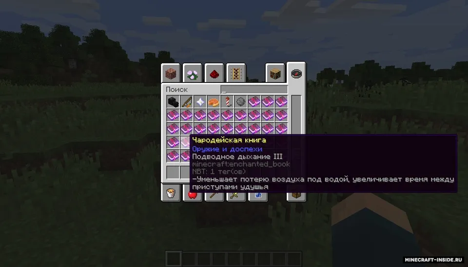 Named Enchantments — Minecraft mod, rasm 4