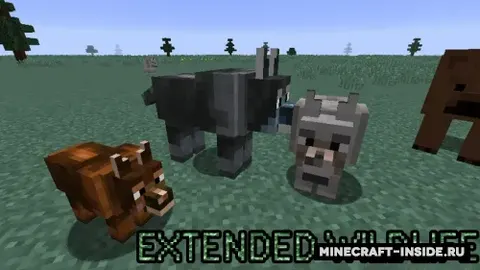 Extended WildLife