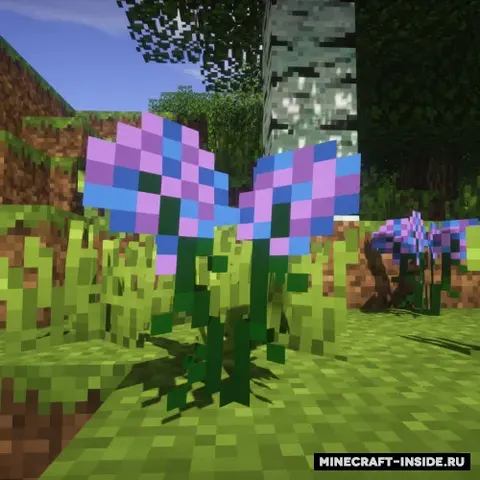 Plants