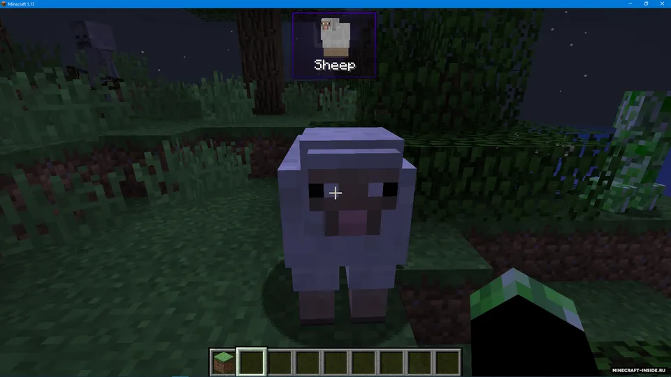 WorldInfo — Minecraft mod, rasm 2