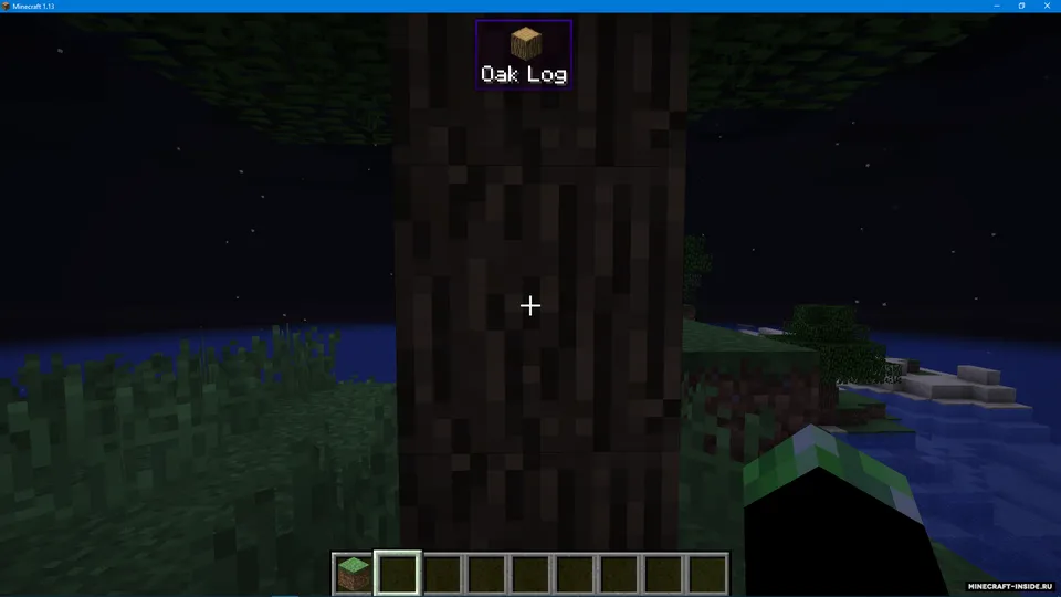 WorldInfo — Minecraft mod, rasm 3
