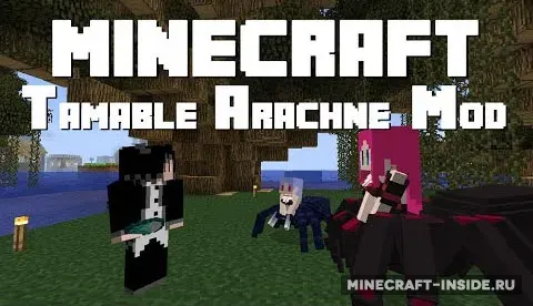 Tameable Arachne