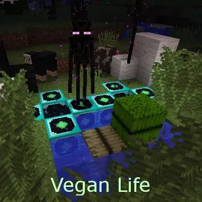 Vegan Life